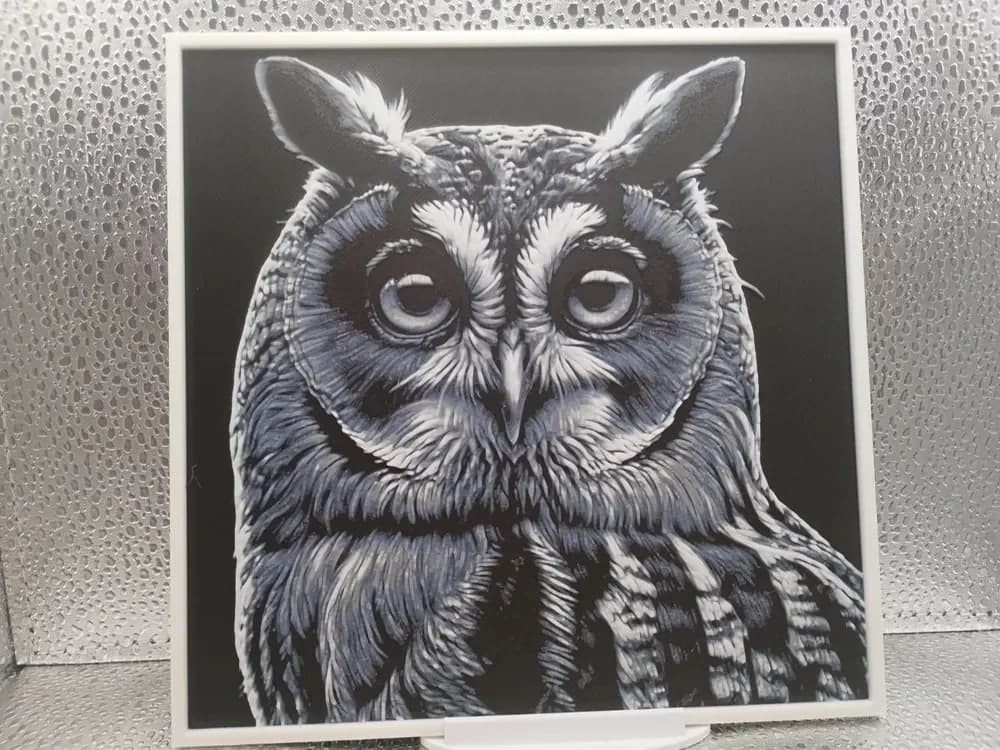 Long-eared Owl hueforge by Borishotch Industries HueForge model: Long-eared Owl hueforge by Borishotch Industries