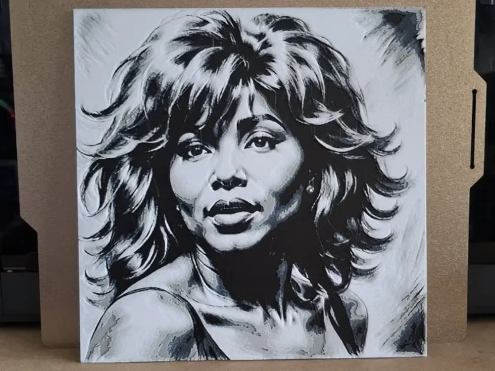 Tina Turner - Hueforge by 3dGlow HueForge model: Tina Turner - Hueforge by 3dGlow
