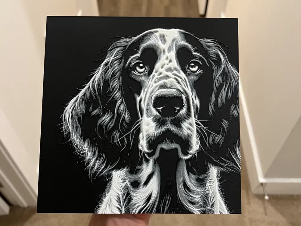 English Setter Dog Face Hueforge by RP47 Designs HueForge model: English Setter Dog Face Hueforge by RP47 Designs