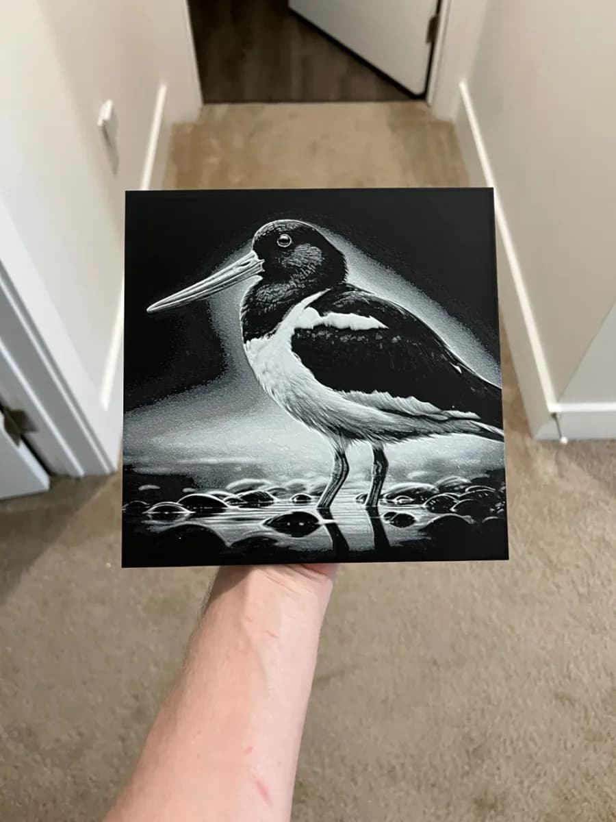 Oyster-Catcher Art Hueforge by RP47 Designs HueForge model: Oyster-Catcher Art Hueforge by RP47 Designs