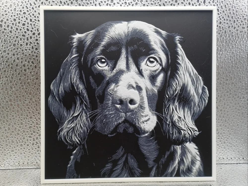 Boykin Spaniel - Hueforge by Borishotch Industries HueForge model: Boykin Spaniel - Hueforge by Borishotch Industries