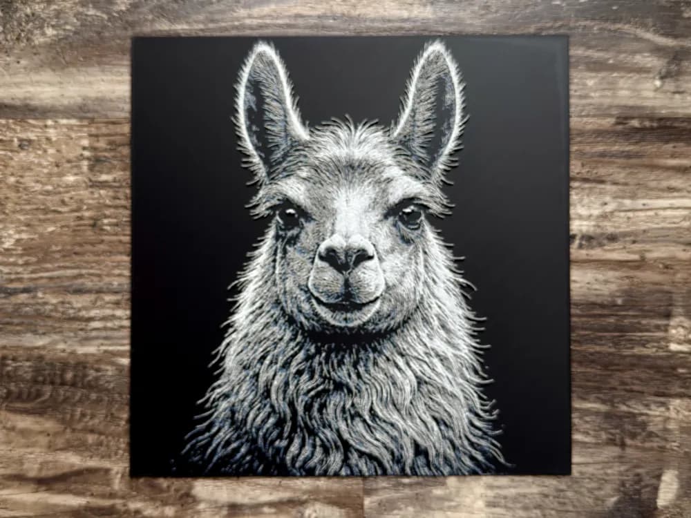 Llama Wildlife Series Llama Wildlife Series