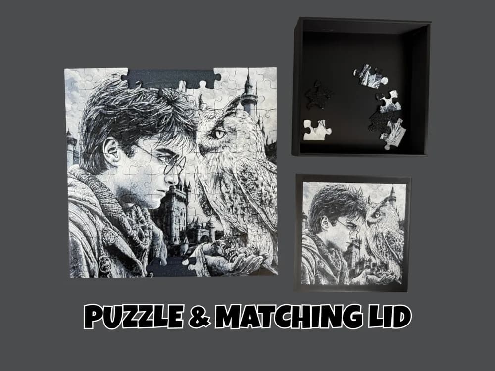 HueForge model: Harry Potter & Hedwig - Puzzle with Matching Lid by Canadian Gamer