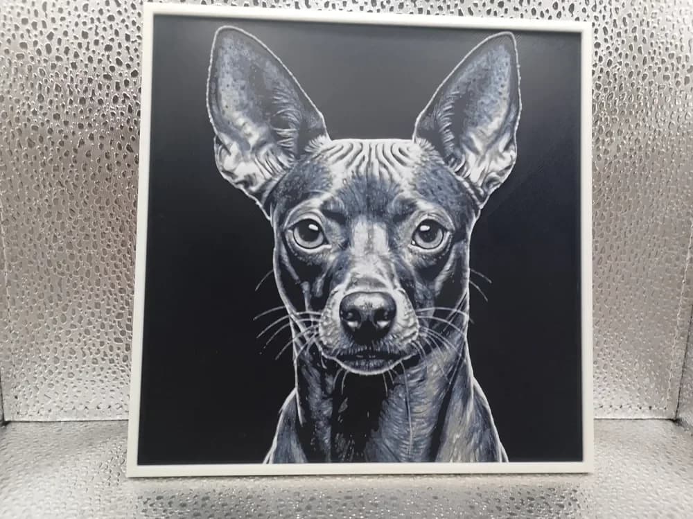 Xoloitzcuintle – Hueforge by Borishotch Industries HueForge model: Xoloitzcuintle – Hueforge by Borishotch Industries