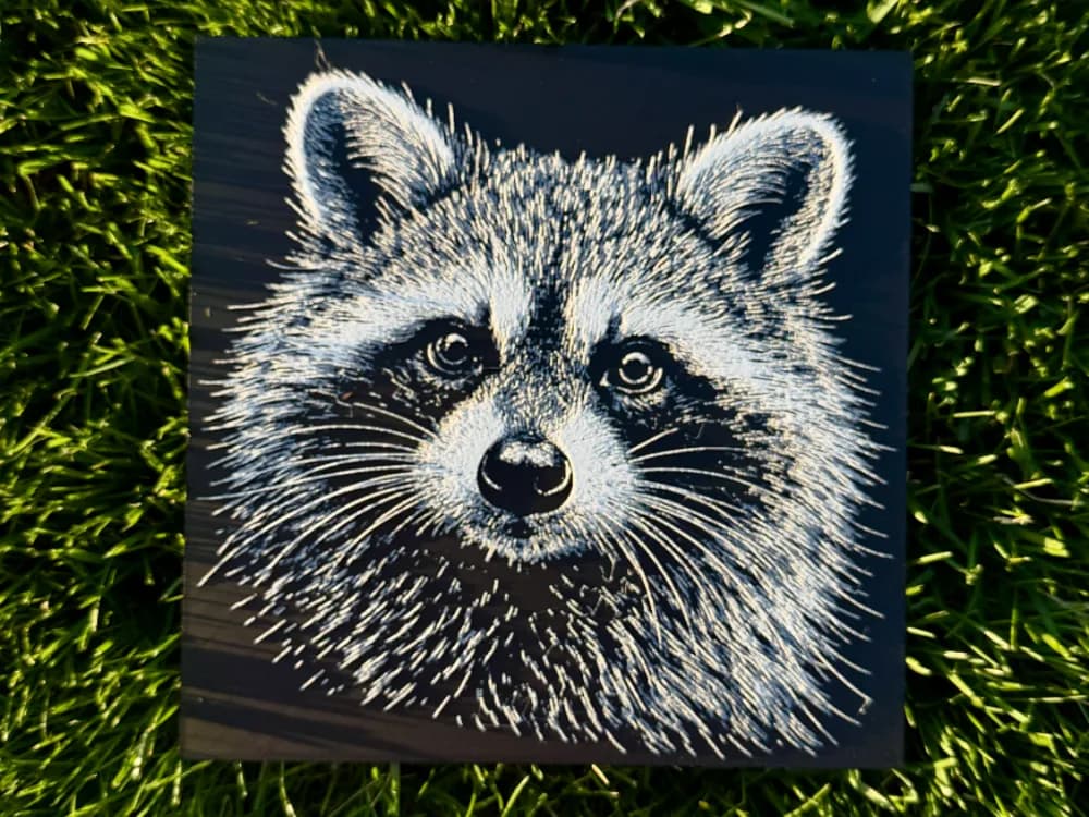 Raccoon Wildlife Series by novy HueForge model: Raccoon Wildlife Series by novy
