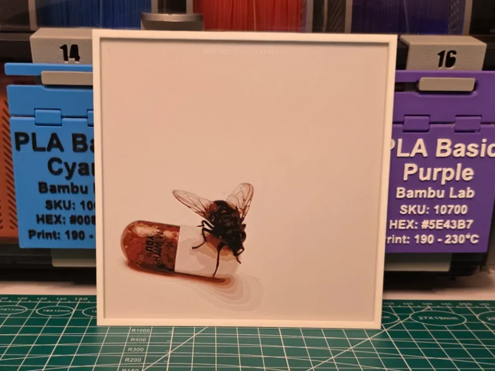 Red Hot Chili Peppers "I'm with You" Album Art