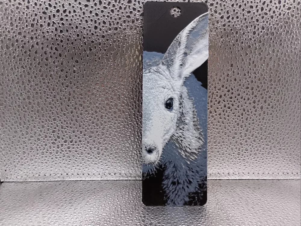 Aardvark Bookmark – Hueforge by Borishotch Industries HueForge model: Aardvark Bookmark – Hueforge by Borishotch Industries