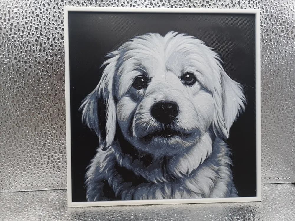 Coton de Tulear - Hueforge by Borishotch Industries HueForge model: Coton de Tulear - Hueforge by Borishotch Industries