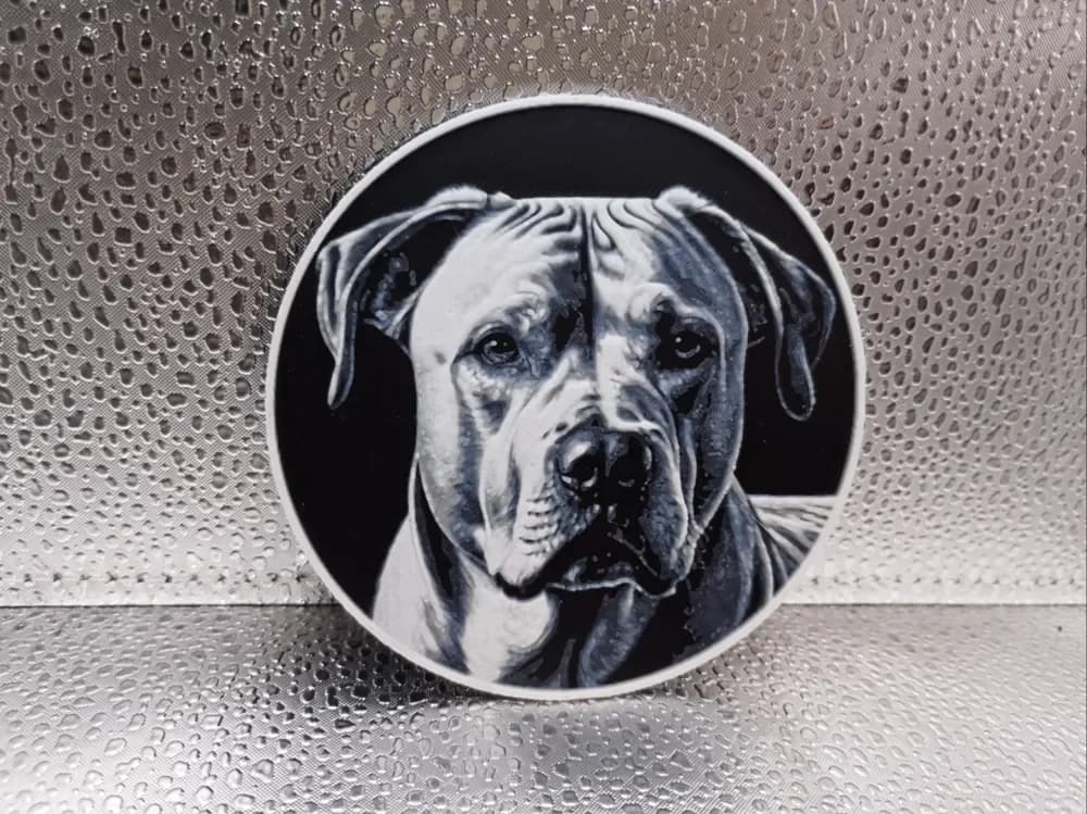 Alabai Coaster – Hueforge Alabai Coaster – Hueforge