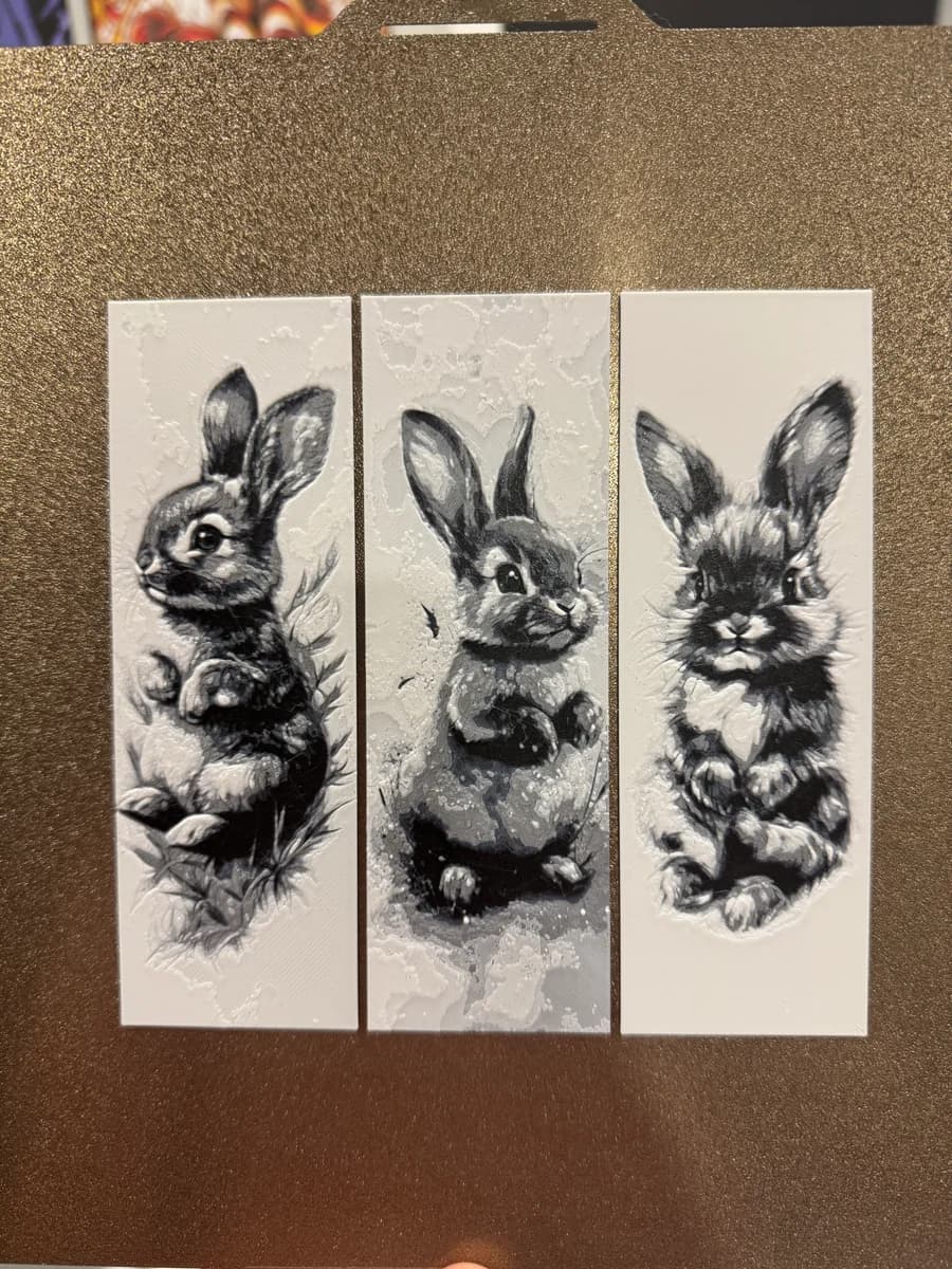 Welcome Pack - Bunny Bookmarks by Canadian Gamer HueForge model: Welcome Pack - Bunny Bookmarks by Canadian Gamer