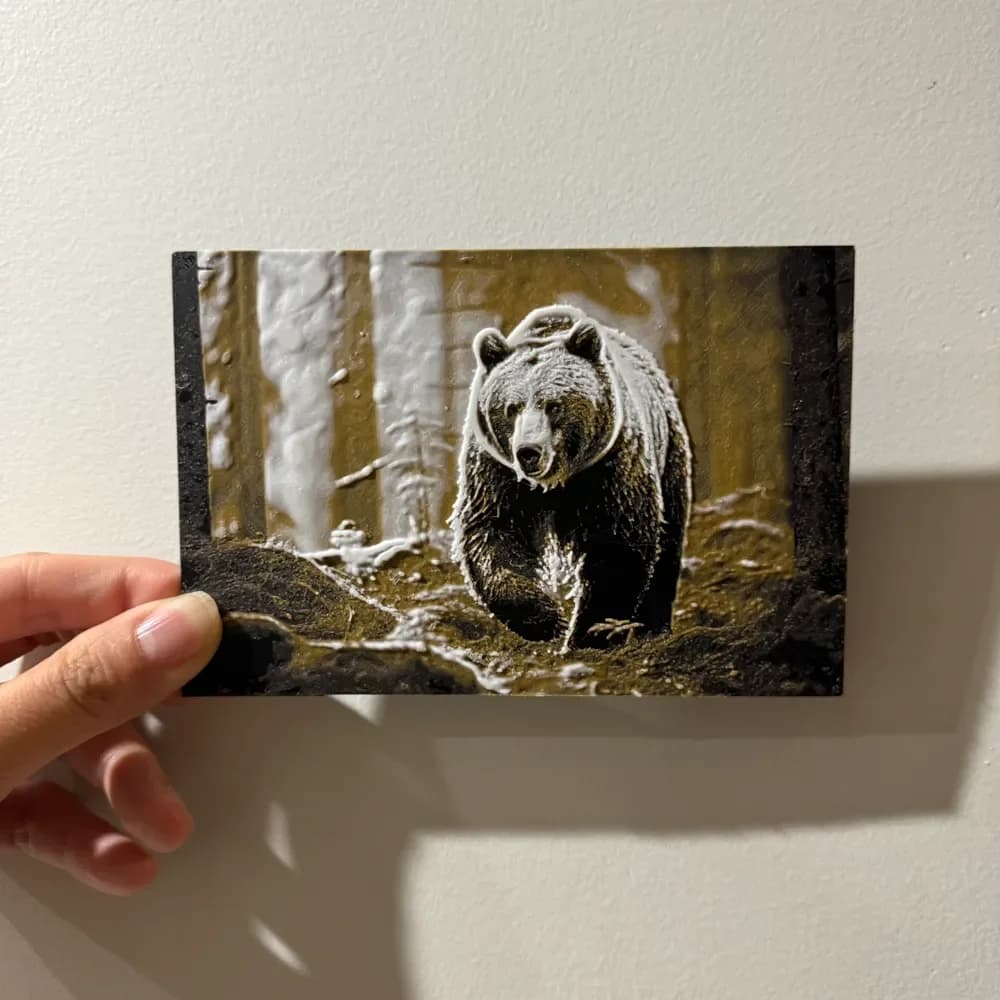 Bear in the Forest - Hueforge print