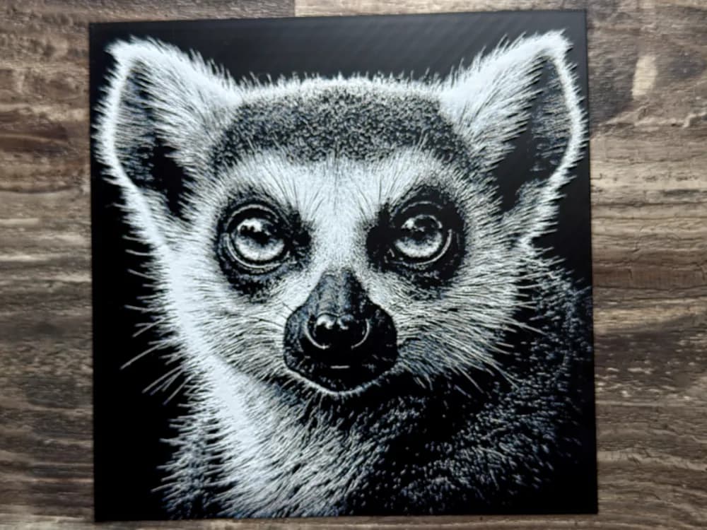 Ring-Tailed Lemur Wildlife Series Ring-Tailed Lemur Wildlife Series
