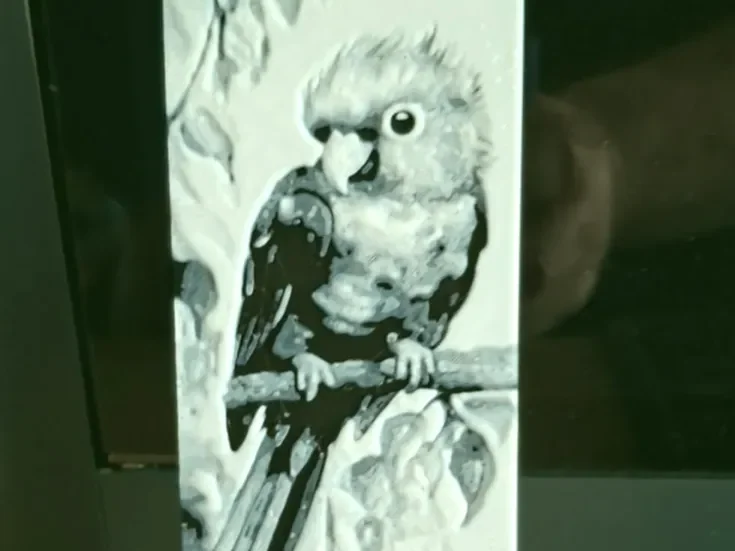 Conure - Parakeet - parrot bookmark 2 colours Conure - Parakeet - parrot bookmark 2 colours