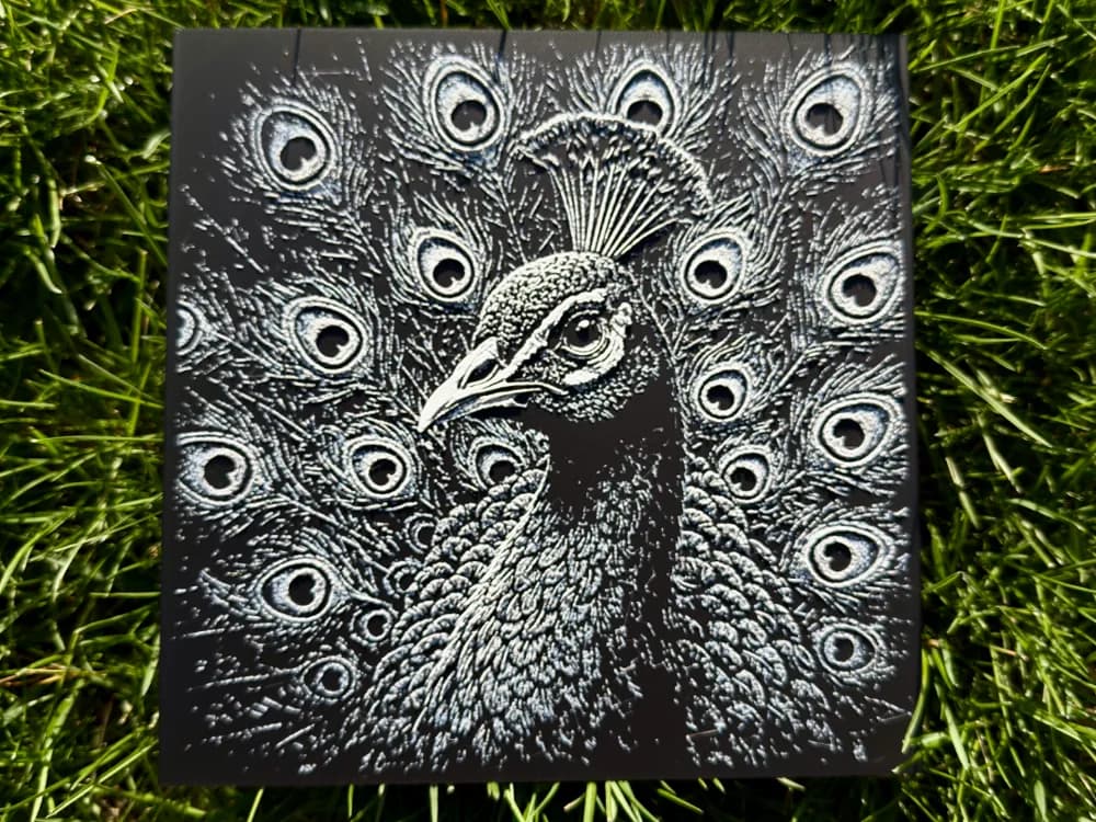 Peacock Wildlife Series by novy HueForge model: Peacock Wildlife Series by novy
