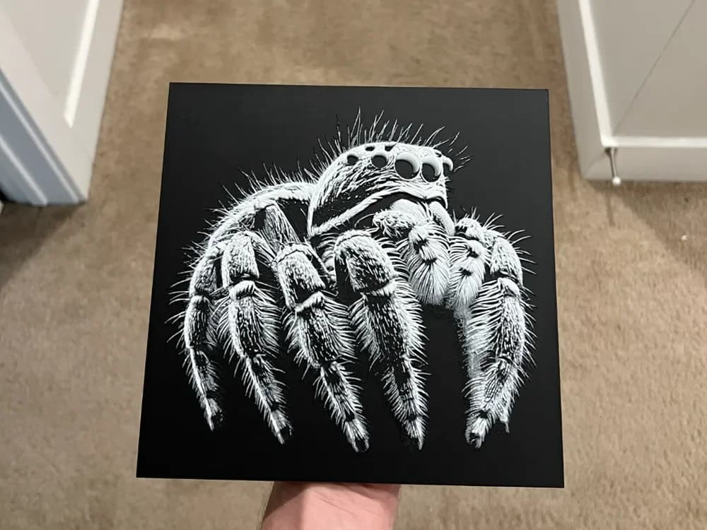 Jumping Spider Art Hueforge by RP47 Designs HueForge model: Jumping Spider Art Hueforge by RP47 Designs