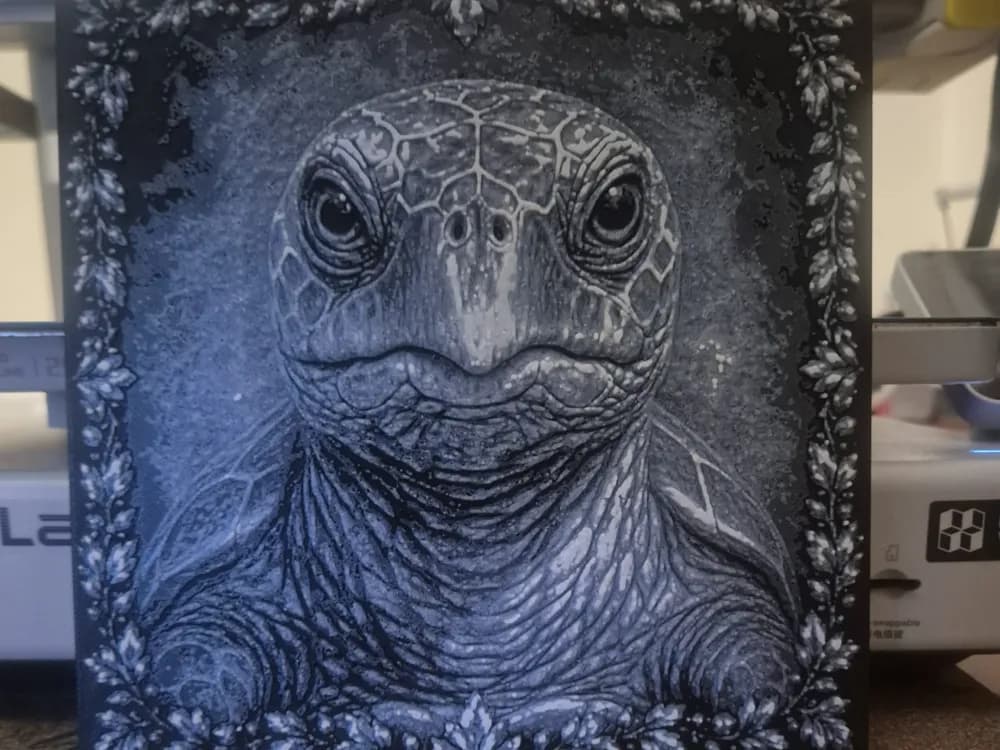 turtle picture hurforge turtle picture hurforge