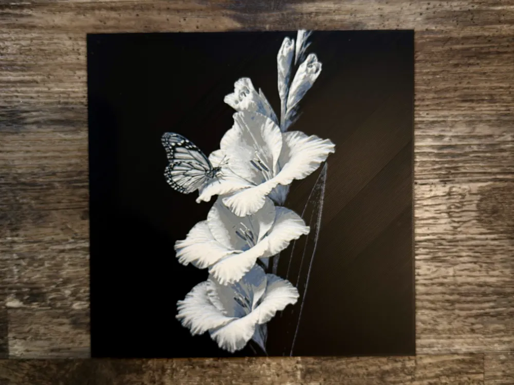 Gladiolus Flower Series Gladiolus Flower Series