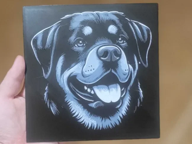 Rottweiler Rottweiler