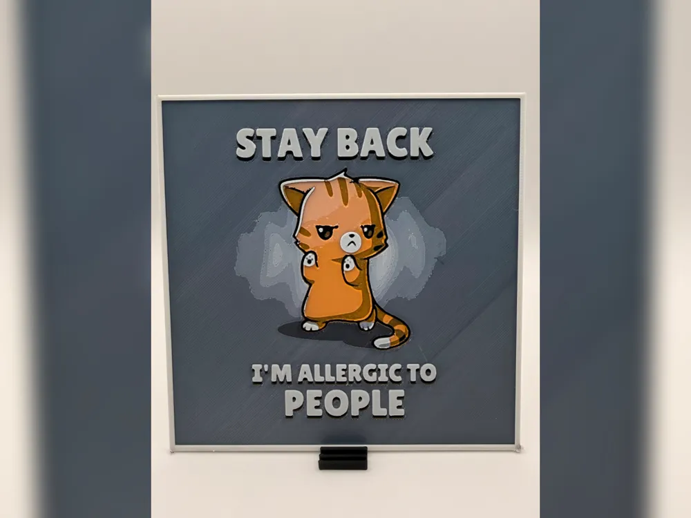 Stay Back Cat Quote HueForge Print Stay Back Cat Quote HueForge Print