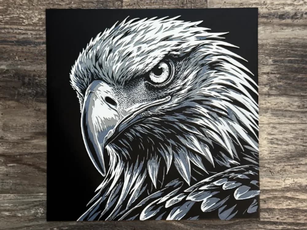 Bald Eagle HueForge Wildlife Series by novy HueForge model: Bald Eagle HueForge Wildlife Series by novy