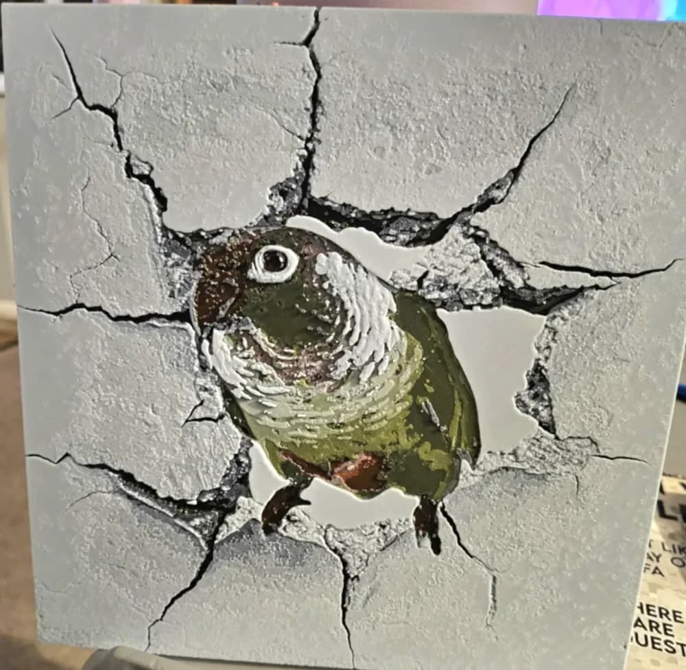 Green Cheek Conure - wall smash - Hueforge by 3dGlow HueForge model: Green Cheek Conure - wall smash - Hueforge by 3dGlow