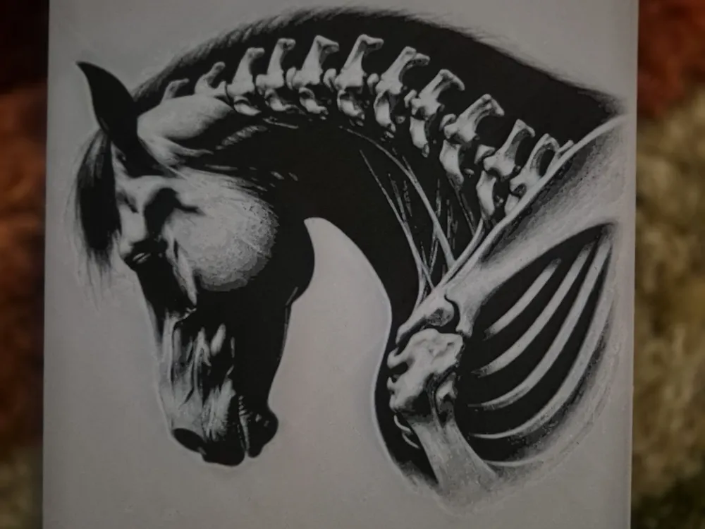 SKELETON HORSE HUEFORGE SKELETON HORSE HUEFORGE