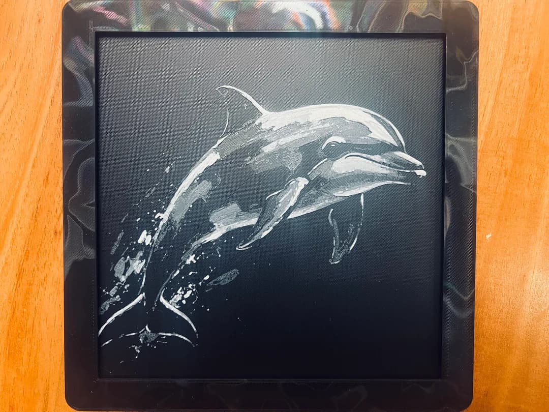 Dolphin(Black & White) Dolphin(Black & White)