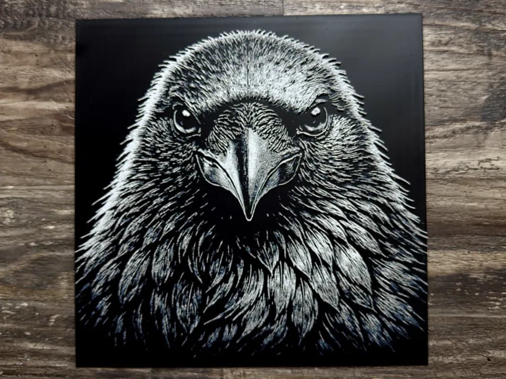 Raven Wildlife Series Raven Wildlife Series