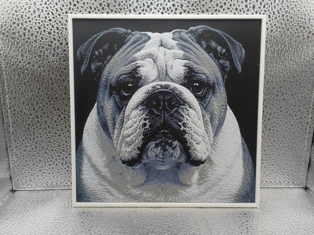 English Bulldog - Hueforge by Borishotch Industries HueForge model: English Bulldog - Hueforge by Borishotch Industries