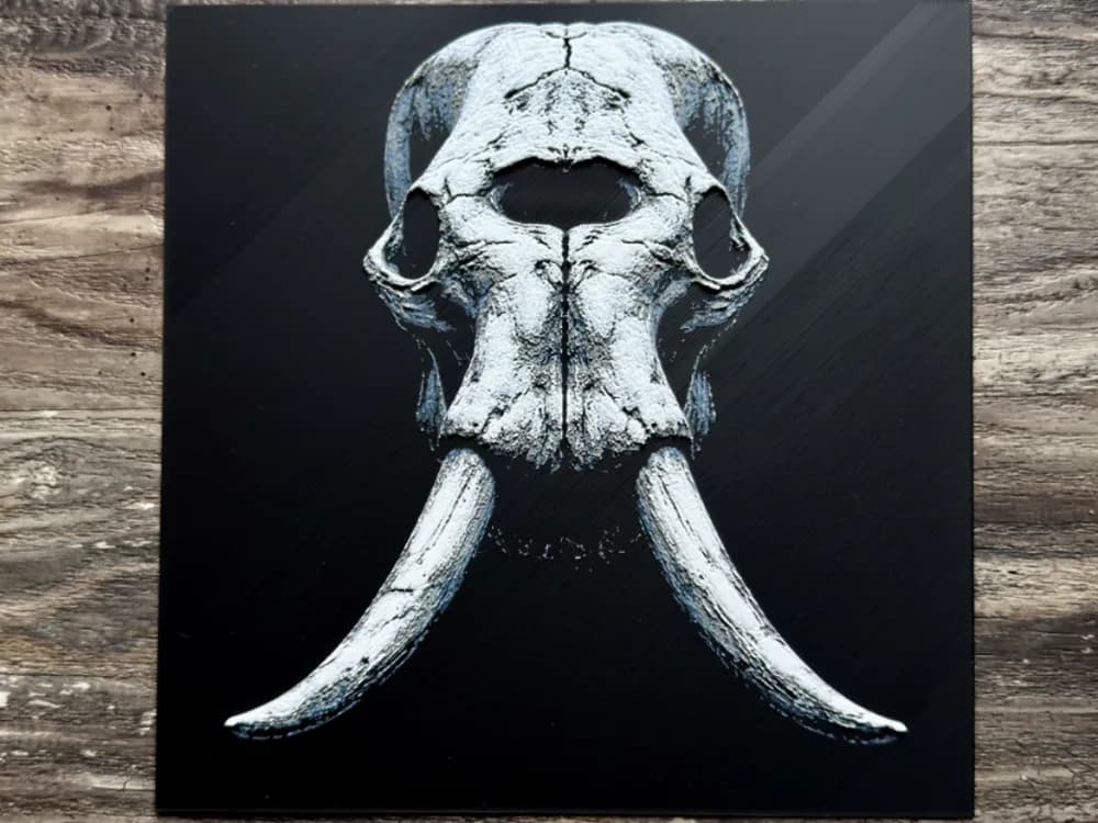 Elephant Skull Series Elephant Skull Series