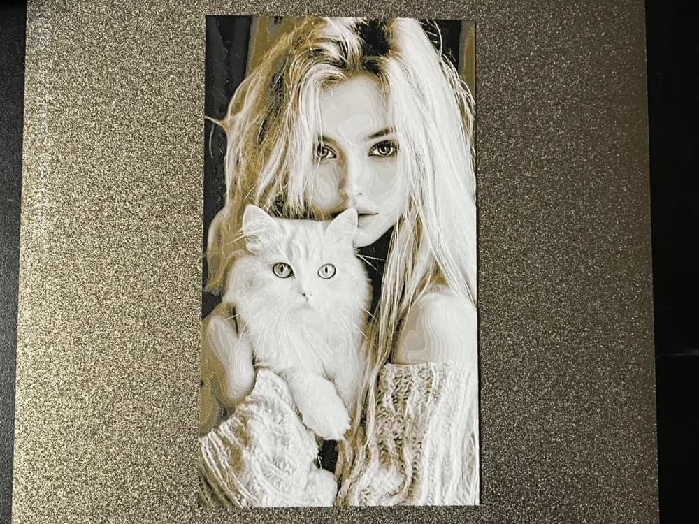 Girl with White Cat Hueforge by FantasyZ HueForge model: Girl with White Cat Hueforge by FantasyZ