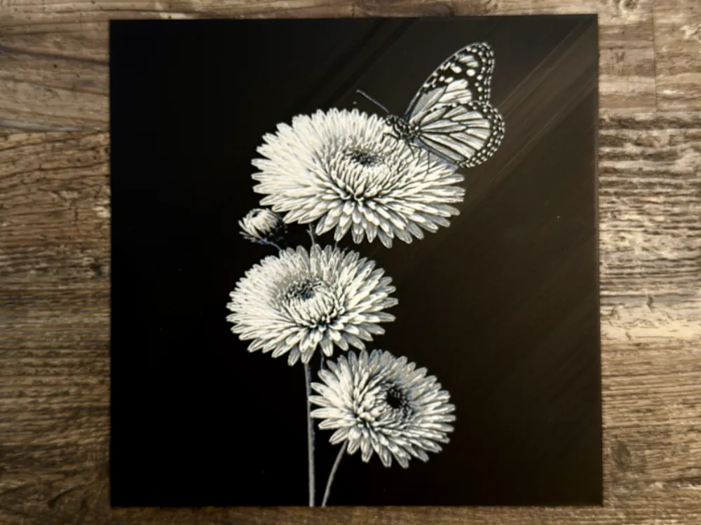 Aster with butterfly Flower Series by novy HueForge model: Aster with butterfly Flower Series by novy