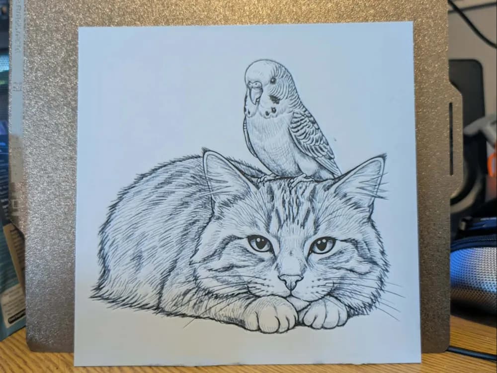 A fluffy ride - cat and budgie hueforge A fluffy ride - cat and budgie hueforge