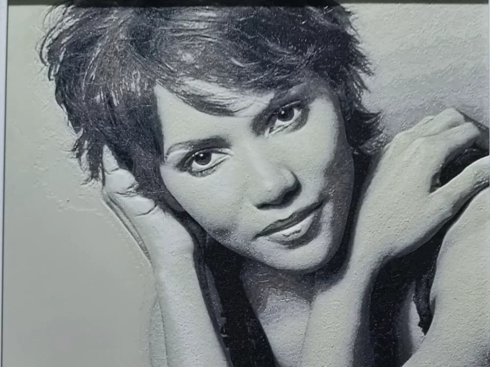 Halle Berry HueForge 4 Color by BoDad HueForge model: Halle Berry HueForge 4 Color by BoDad