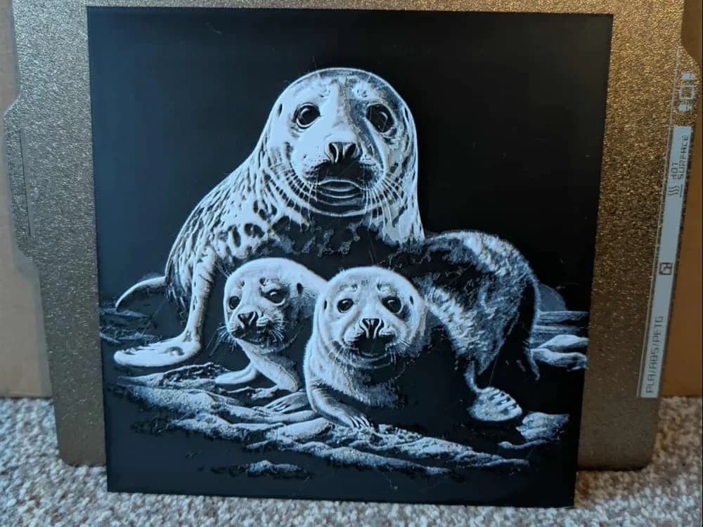 Sea lions - Hueforge by 3dGlow HueForge model: Sea lions - Hueforge by 3dGlow