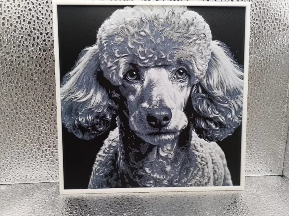 Poodle – Hueforge by Borishotch Industries HueForge model: Poodle – Hueforge by Borishotch Industries