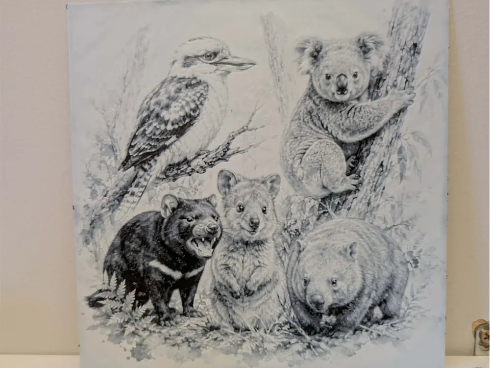 Animals of aussie - Hueforge Animals of aussie - Hueforge