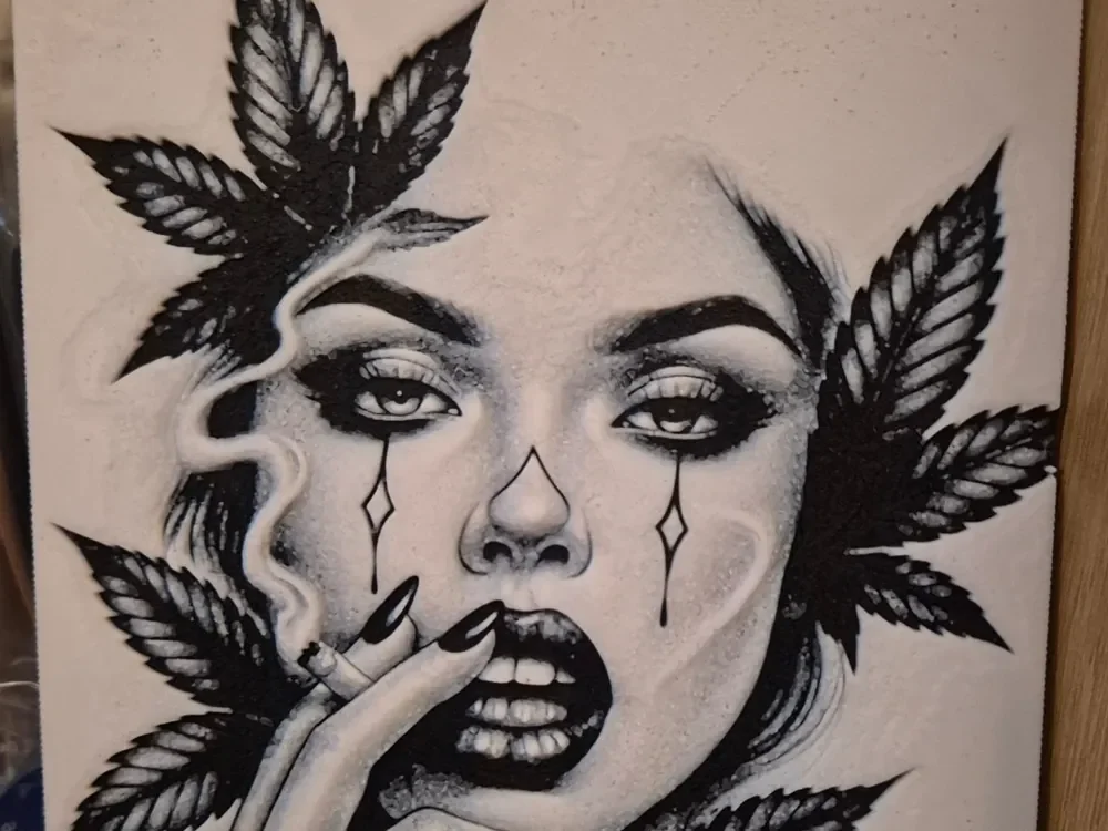 just tripping hueforge by Buntsta HueForge model: just tripping hueforge by Buntsta