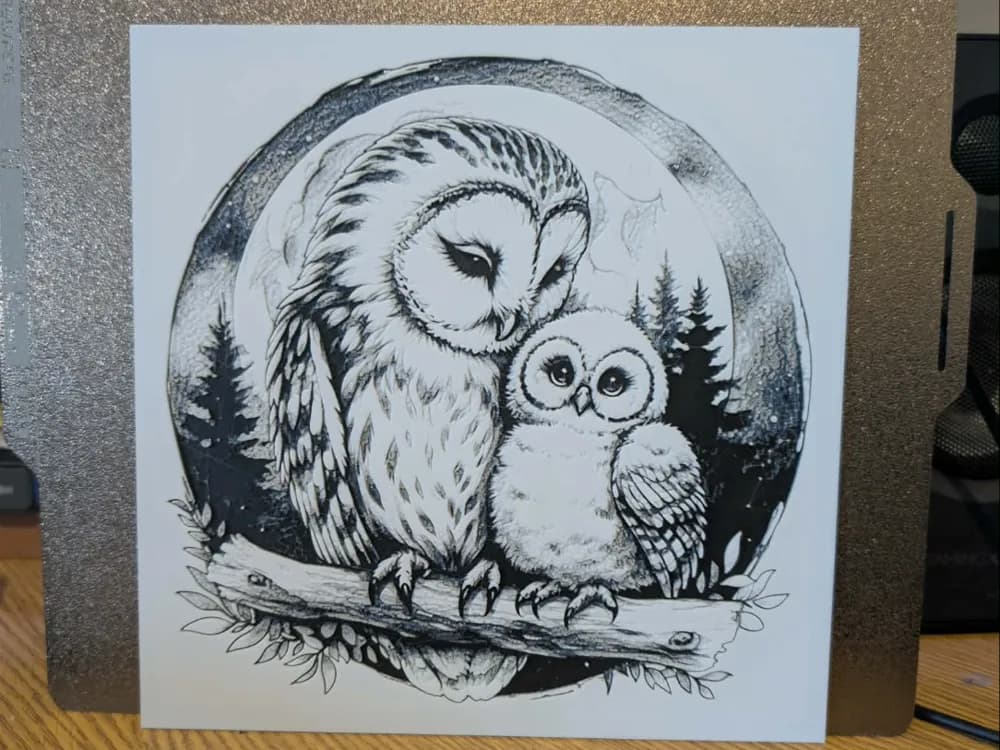 Mother barn owl - hueforge Mother barn owl - hueforge