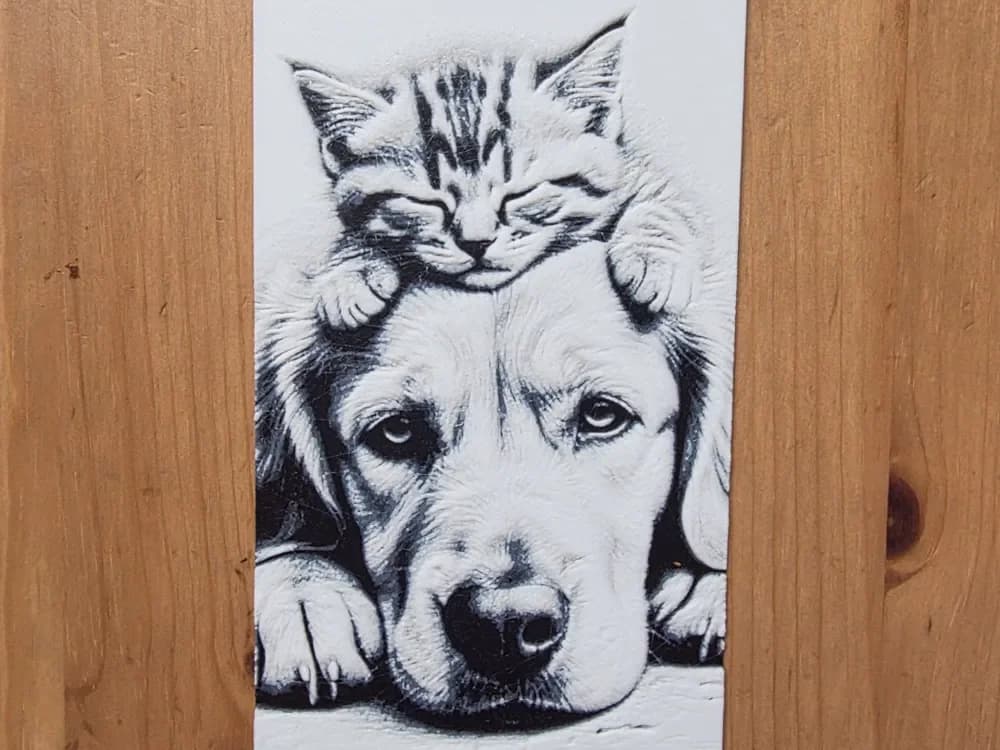 Cat And Dog Hueforge by Morganja HueForge model: Cat And Dog Hueforge by Morganja