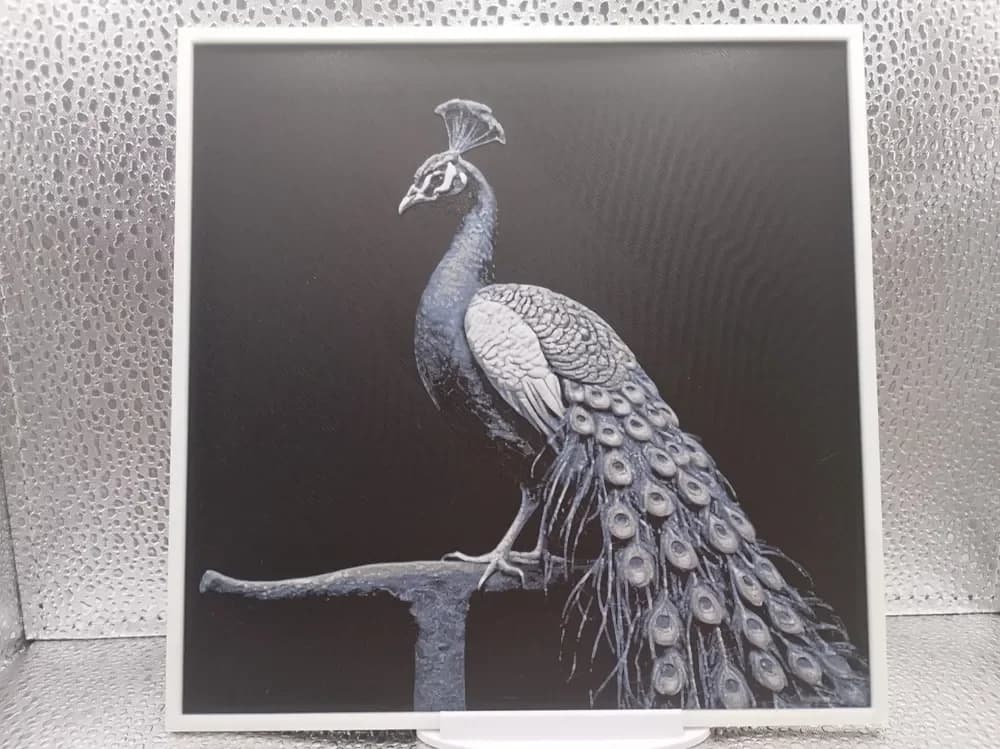 Peacock hueforge Peacock hueforge