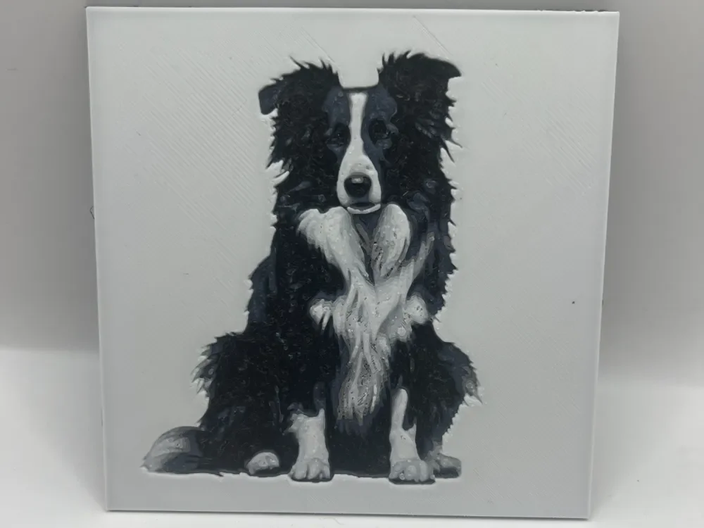 Border Collie coaster by Leafy HueForge model: Border Collie coaster by Leafy