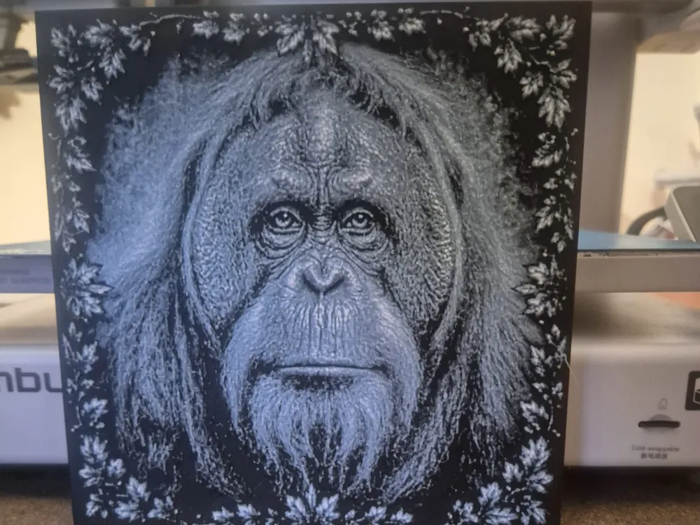 orangutan picture orangutan picture