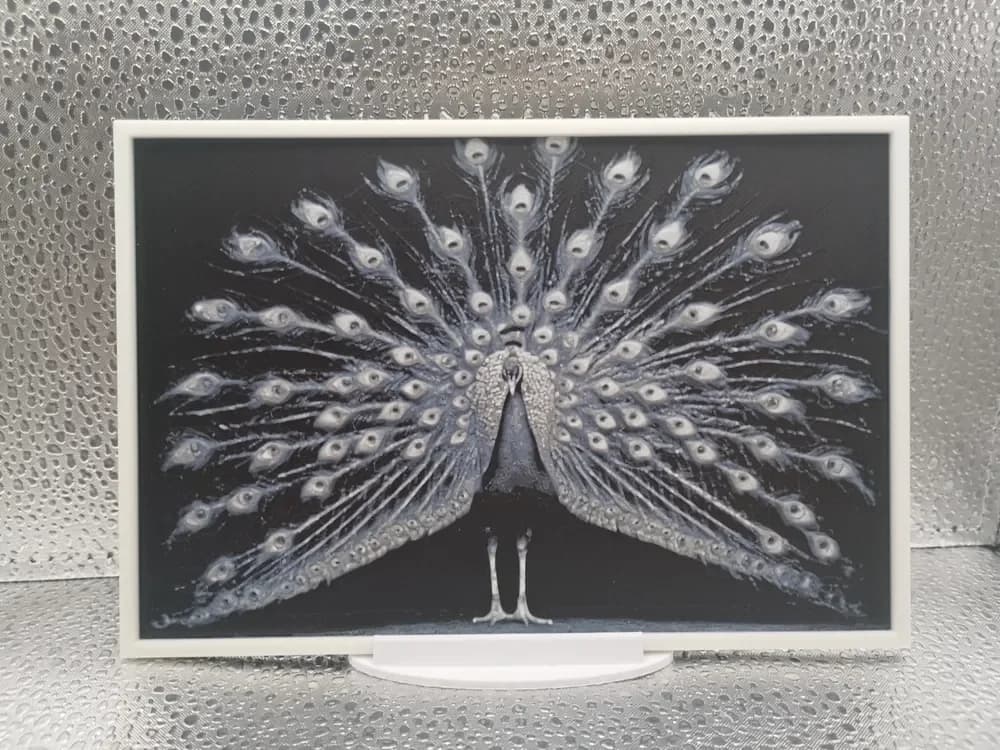 Peacock hueforge by Borishotch Industries HueForge model: Peacock hueforge by Borishotch Industries