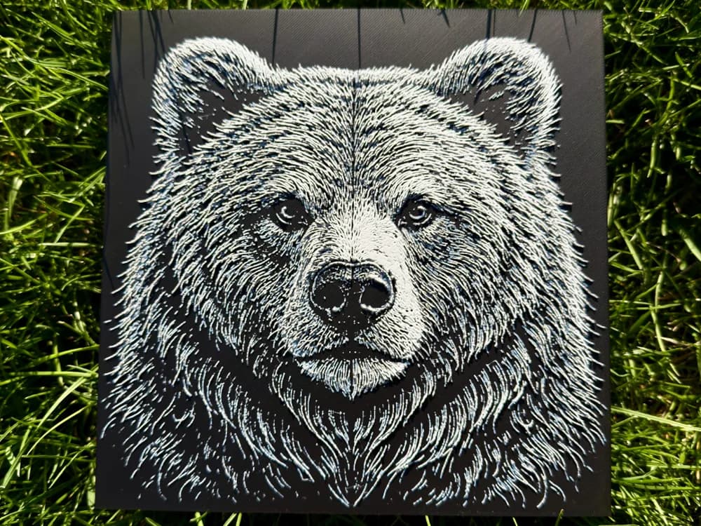 Bear Wildlife Series Bear Wildlife Series