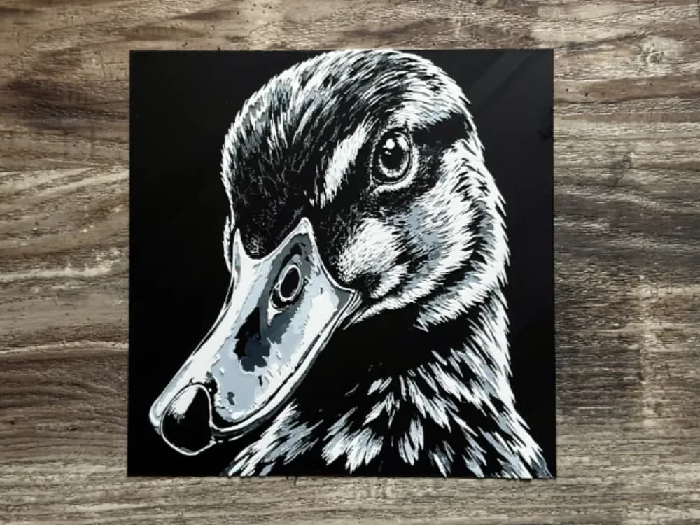 Duck HueForge Wildlife Series by novy HueForge model: Duck HueForge Wildlife Series by novy