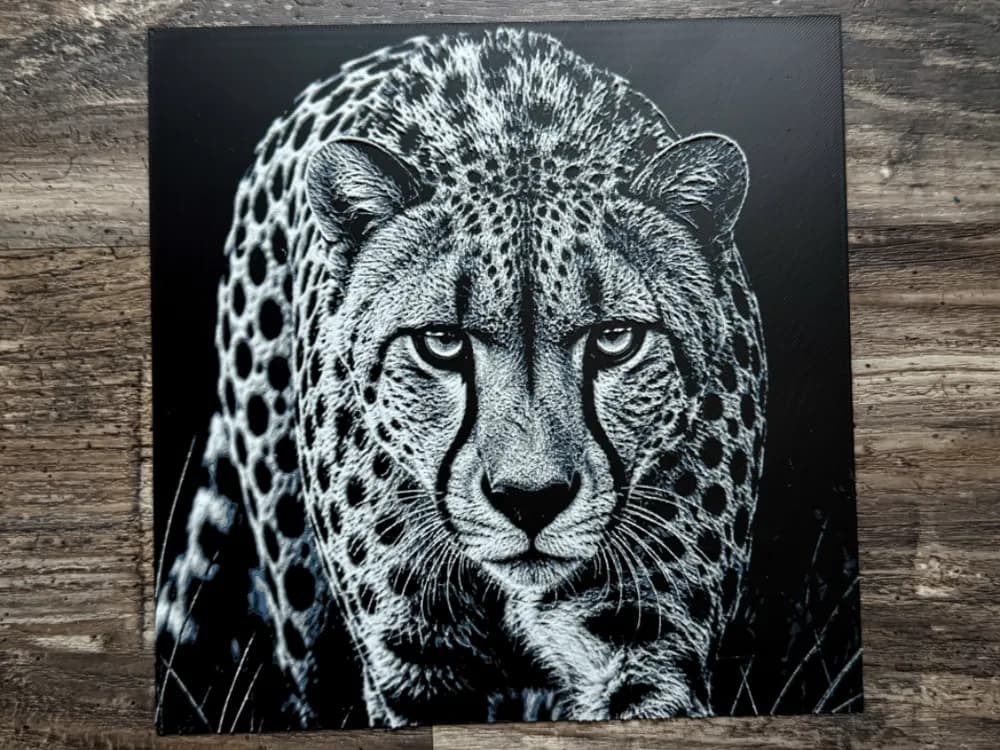 Cheetah Wildlife Series Cheetah Wildlife Series