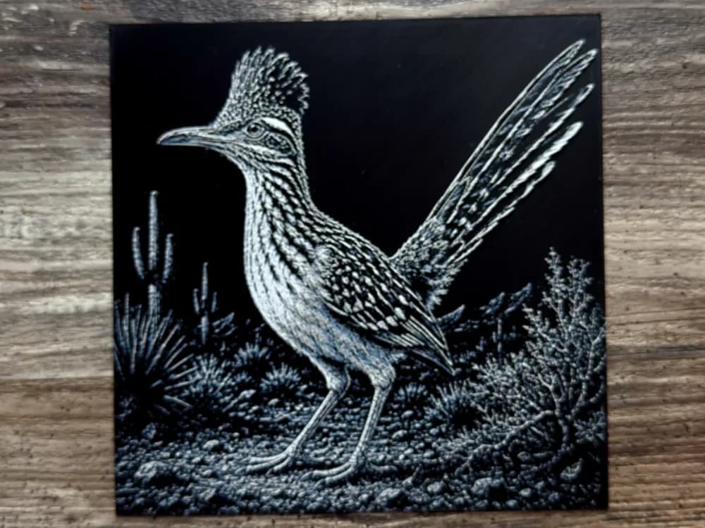Roadrunner Wildlife Series Roadrunner Wildlife Series