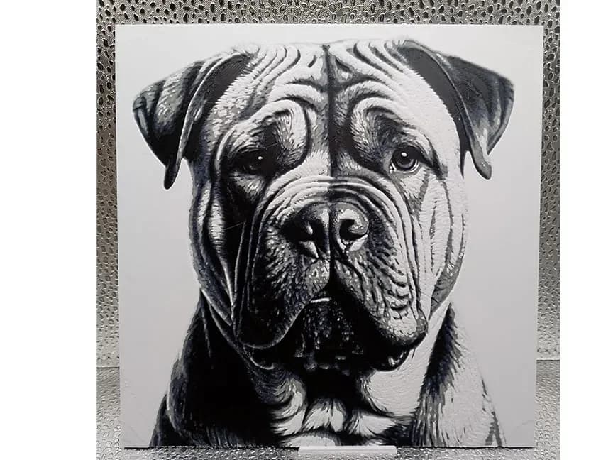 Shar Pei Hueforge by Borishotch Industries HueForge model: Shar Pei Hueforge by Borishotch Industries