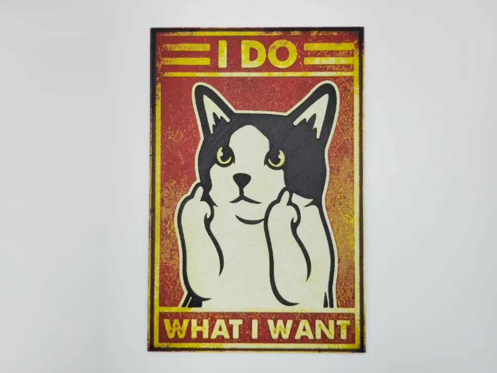 Cat, I do what I want by Kactus Fpv HueForge model: Cat, I do what I want by Kactus Fpv